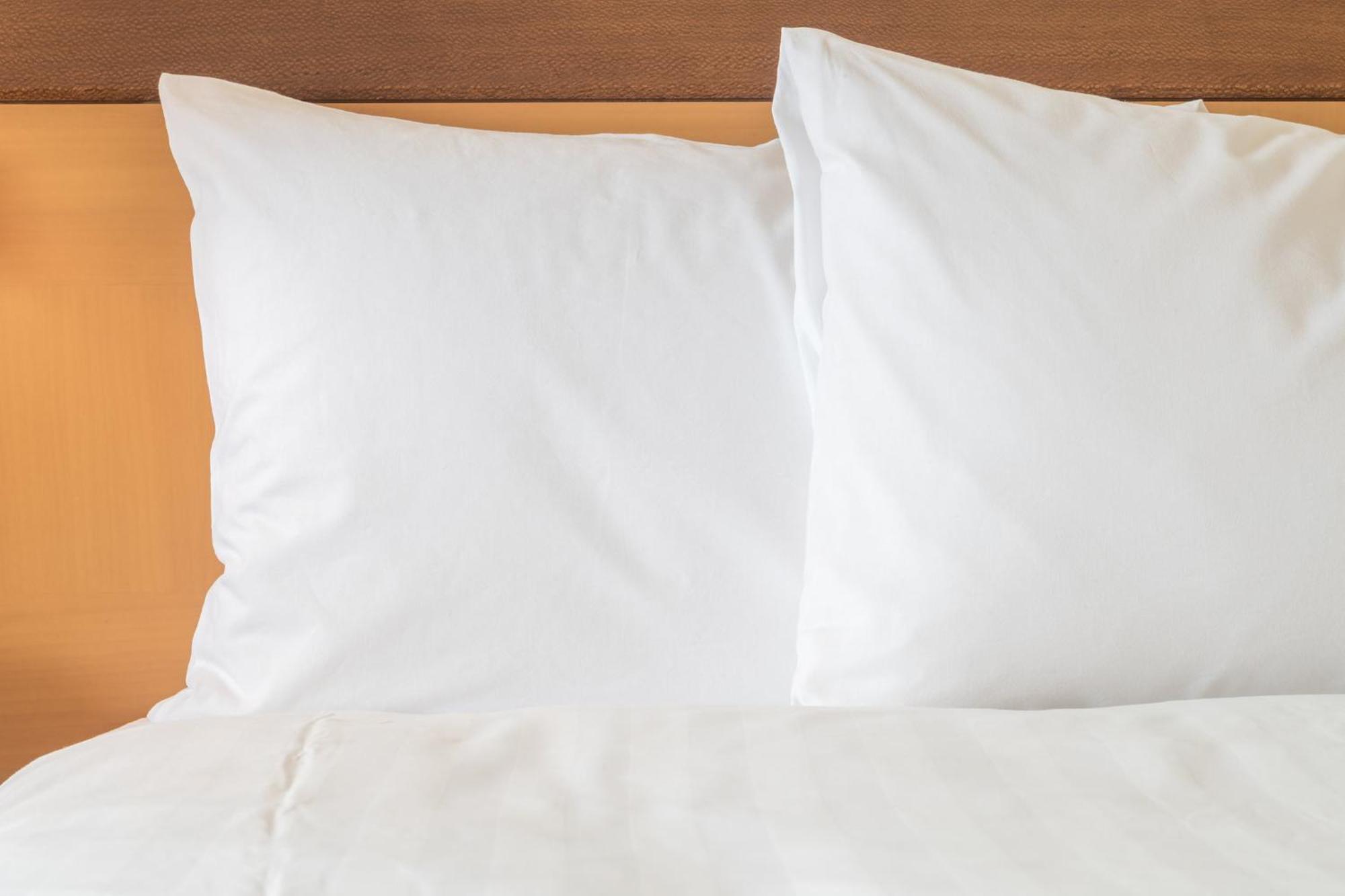 Holiday Inn & Suites Wausau-Rothschild By Ihg Eksteriør bilde